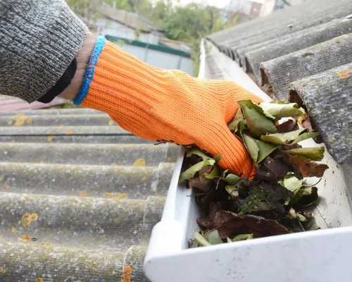 Gutter & Roof Cleaning